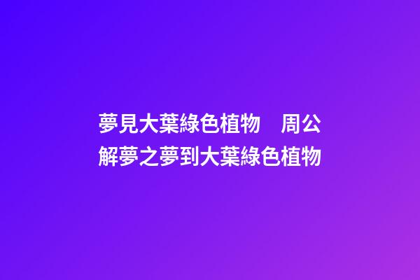 夢見大葉綠色植物　周公解夢之夢到大葉綠色植物